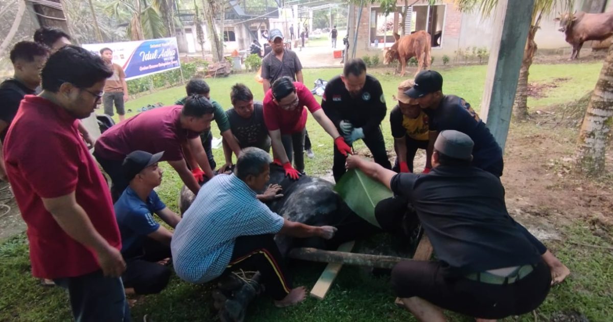 Lazismu Kupas Tuntas Pengalihan DAM Haji ke Tanah Air, Solusi Atasi Ketimpangan Distribusi Daging Kurban